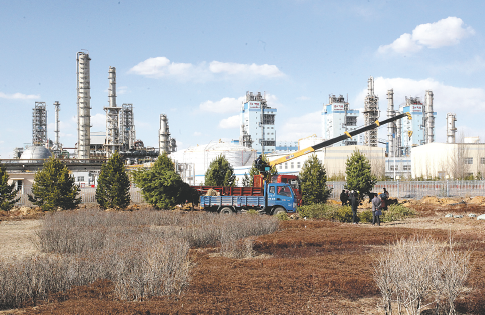 lyzb1足球直播 高清赛事直播